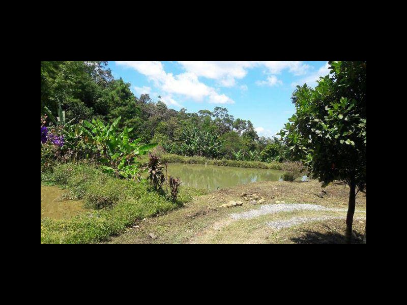 Sítio à venda Rossi com 302000m² e 3 quartos por R$ 1.350.000 - 844719178-118763978-4919085284775590-4873585162556632128-n.jpg