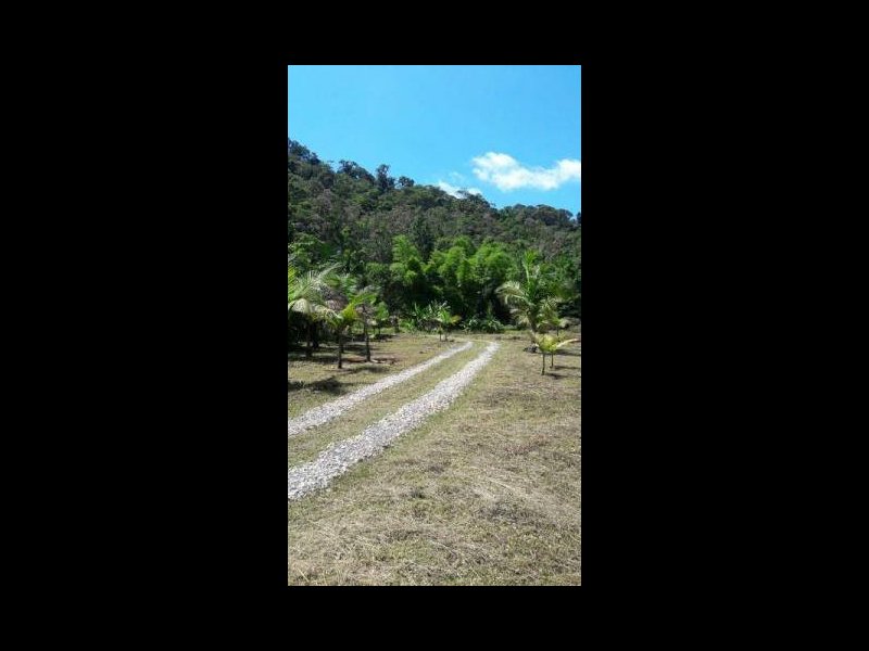 Sítio à venda Rossi com 302000m² e 3 quartos por R$ 1.350.000 - 870052506-118728130-4919084731442312-6864766698043128465-n.jpg