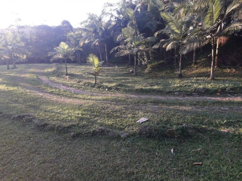 Sítio à venda Rossi com 302000m² e 3 quartos por R$ 1.350.000 - 983076304-118698828-4919084764775642-8679878878684270965-o.jpg