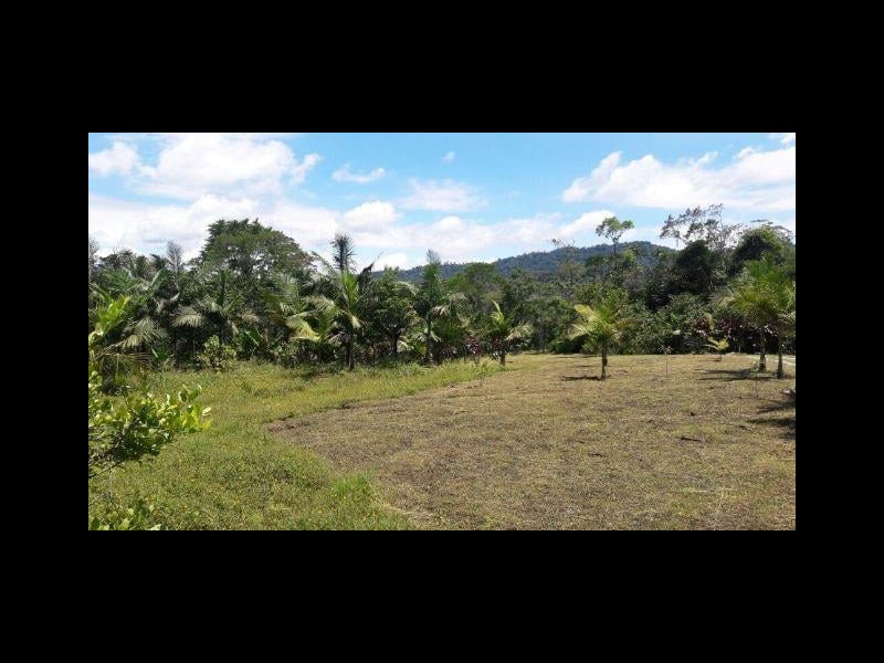 Sítio à venda Rossi com 302000m² e 3 quartos por R$ 1.350.000 - 992700498-118697591-4919084538108998-9115871027331560271-n.jpg