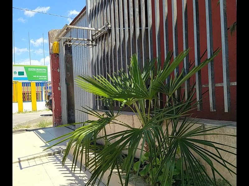 imóvel com 70m² - Planta Quississana - São José dos Pinhais