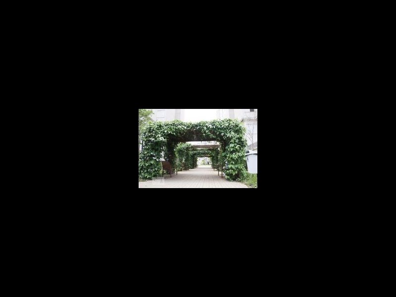 Apartamento à venda Guaiaúna com 53m² e 2 quartos por R$ 340.000 - 1793545084-img-2972.jpg