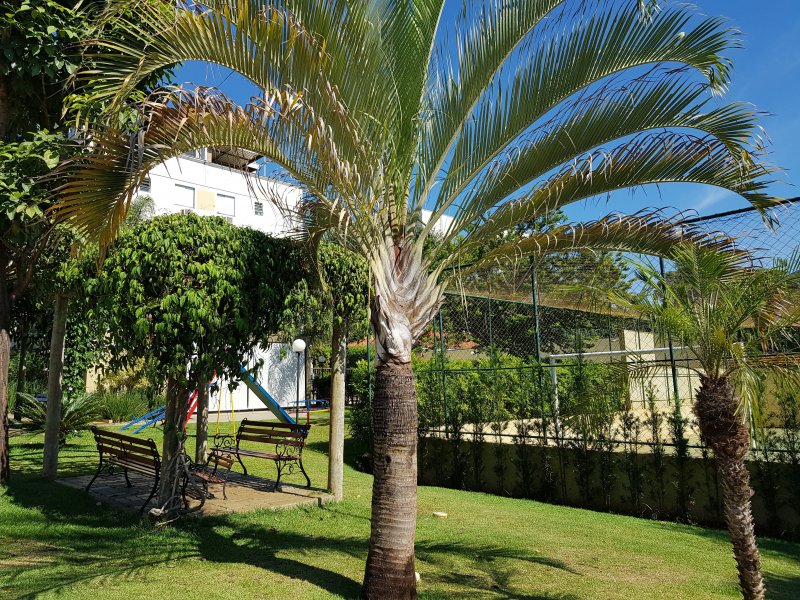 imóvel com 47m² - City Ribeirão - Ribeirão Preto