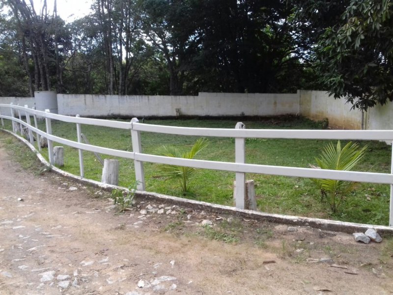 Chácara à venda Barreiras com 5000m² e 3 quartos por R$ 400.000 - 1970703321-whatsapp-image-2020-12-06-at-13.jpeg