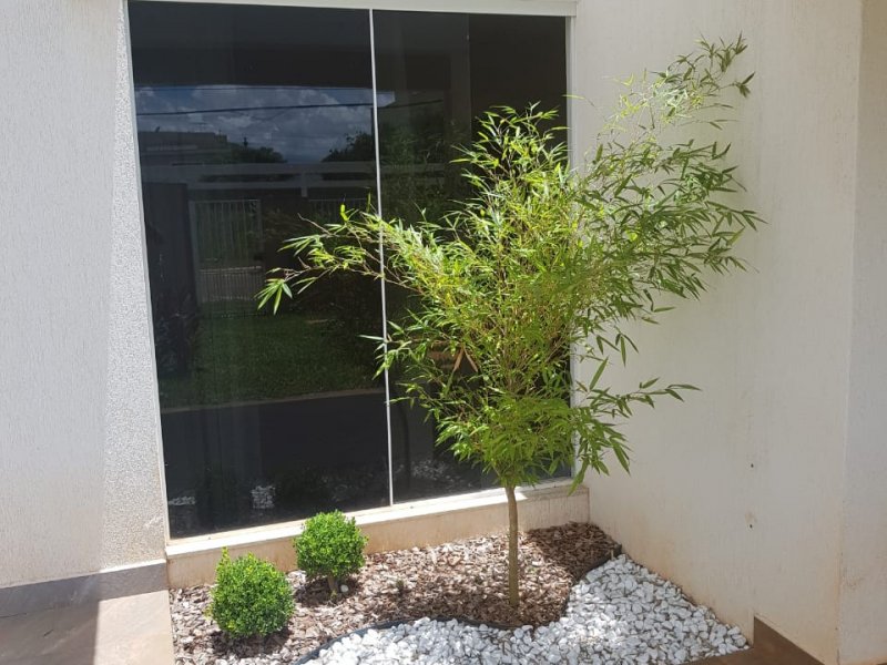 Casa à venda Taquari com 235m² e 3 quartos por R$ 1.350.000 - 444238486-jardim-frente.jpeg