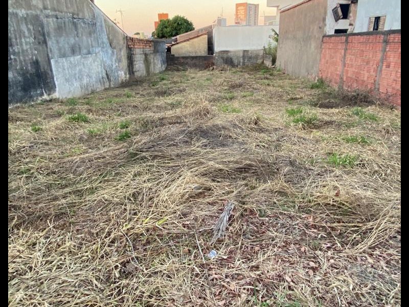 Terreno à venda Chácara Rodrigues com 336m² e  quartos por R$ 268.000 - 509389045-whatsapp-image-2020-12-07-at-13.jpeg