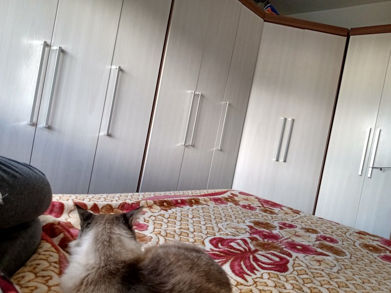 Apartamento à venda Desvio Rizzo com 50m² e 2 quartos por R$ 145.000 - 1328375621-inbound7445482986097750674.jpg