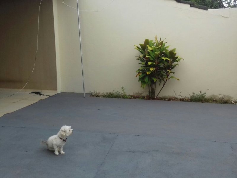 Casa à venda Setor Garavelo Residencial Park com 100m² e 3 quartos por R$ 220 - 1904517289-img-20180221-wa0005-1.jpg