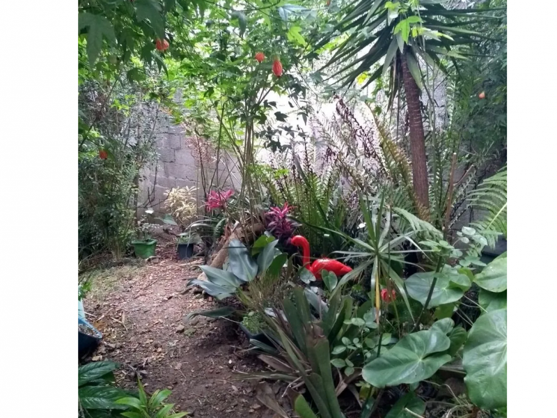 Casa à venda Parque São Francisco com 250m² e 1 quarto por R$ 300.000 - 49095776-06.png
