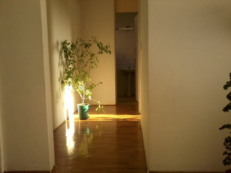imóvel com 49m² - Jardim Casa Pintada - São Paulo