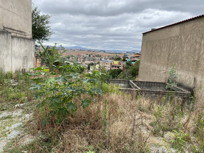 Terreno à venda Pindorama com 365m² e  quartos por R$ 210.000 - 1286083673-e5bf515f-4584-4039-98ca-a12cbc112294.jpeg