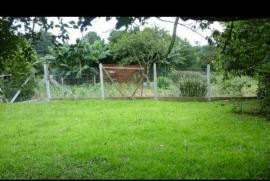 Chácara à venda Cadiz com 5000m² - 2 dormitórios -  vagas - R$ 150.000 - 354679704-e4959643-0dd9-4f79-9e8f-6482b1f67cef.jpg