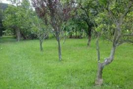 Chácara à venda Cadiz com 5000m² - 2 dormitórios -  vagas - R$ 150.000 - 985792037-bacfc5fe-af73-4a45-a3a0-688b11d195ae.jpg