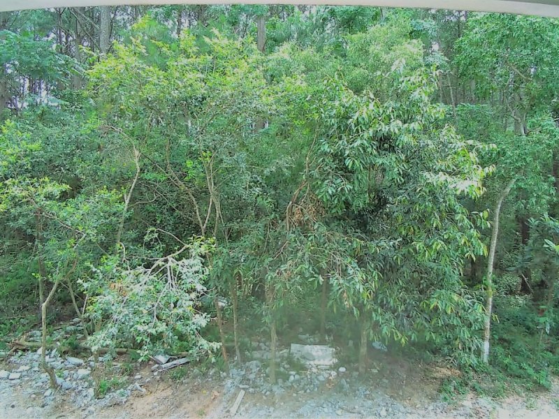Apartamento para alugar Campeche com 73m² e 2 quartos por R$ 605.000 - 1630020057-area-verde.jpg
