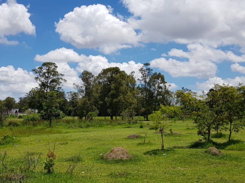 imóvel com 125m² - Jardim Izildinha - Guarulhos
