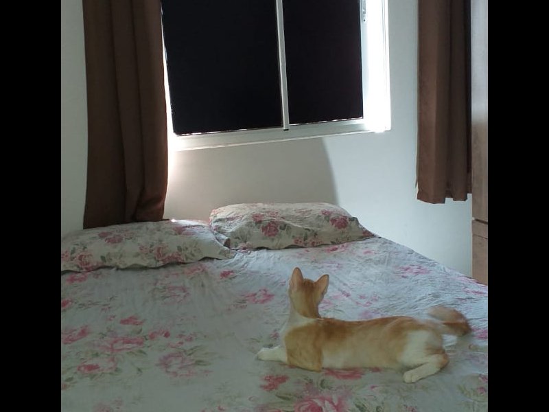 Apartamento à venda parque potira com 60m² e 2 quartos por R$ 125.000 - 1410079725-10.jpg