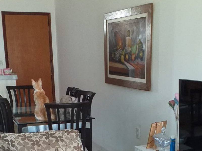 Apartamento à venda parque potira com 60m² e 2 quartos por R$ 125.000 - 890148246-6.jpg