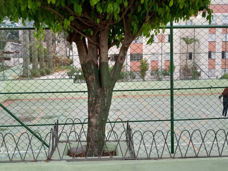 Apartamento à venda Jardim Dabril com 54m² e 2 quartos por R$ 230.000 - 453332508-14.jpeg