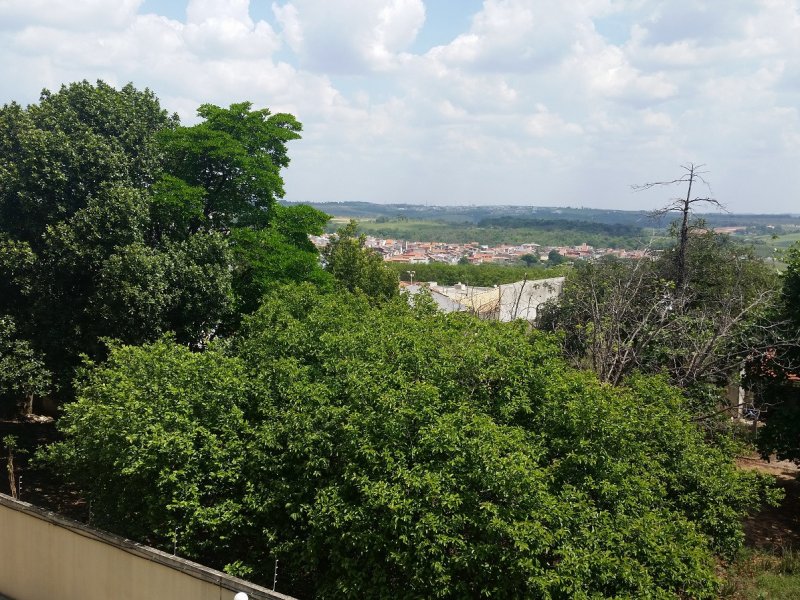 Apartamento à venda Parque Nossa Senhora da Candelaria com 70m² e 2 quartos por R$ 250.000 - 579798360-vista-da-varanda-e-quartos-ampla-vista-com-muito-verde.jpg