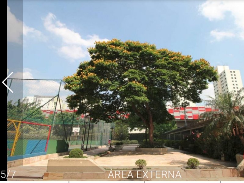 imóvel com 58m² - Brás - São Paulo