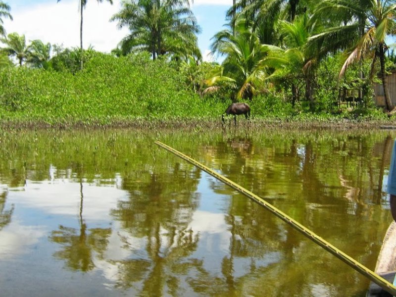 Fazenda à venda Tapuia com 144m² e 1 quarto por R$ 2.300.000 - 1124272292-fazenda-riacho-do-sapo-pg.jpg