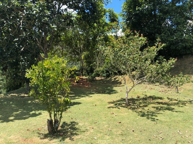 Chácara à venda Centro com 3600m² e 4 quartos por R$ 599.000 - 474534506-5730553b-d596-4b4d-93cd-857406741240.jpeg