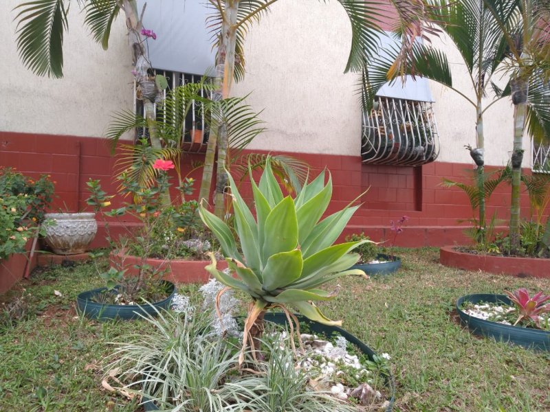 imóvel com 56m² - Asa Sul - Brasília