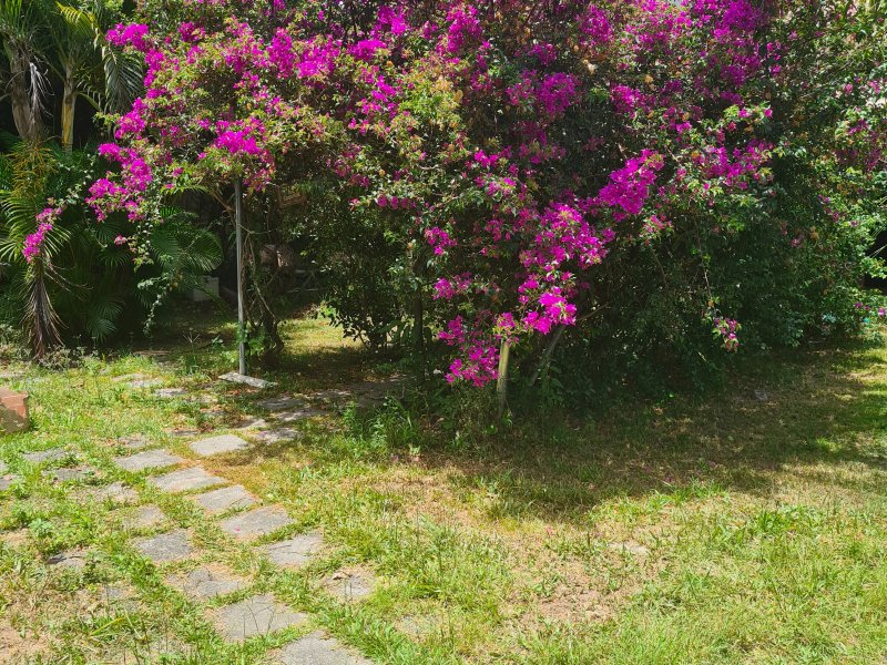 Casa à venda Caji com 350m² e 4 quartos por R$ 800.000 - 418370212-20201216-114112.jpg