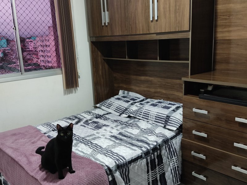 Apartamento à venda Coqueiral de Itaparica com 63m² e 2 quartos por R$ 200.000 - 376929083-img-20201024-153322.jpg