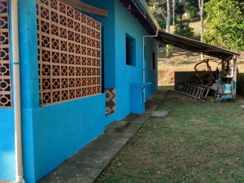 Chácara à venda salto do meio com 2200m² e 2 quartos por R$ 280.000 - 1591095270-whatsapp-image-2020-11-11-at-7.jpeg