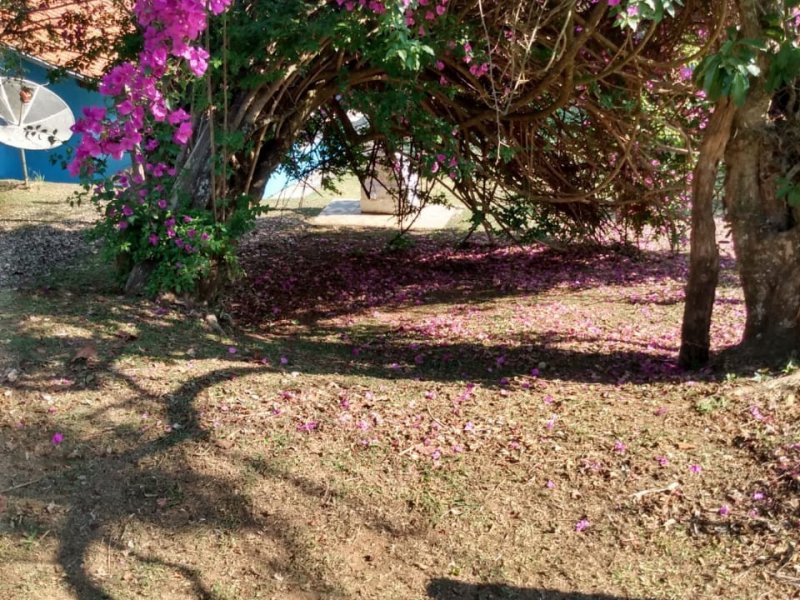Chácara à venda salto do meio com 2200m² e 2 quartos por R$ 280.000 - 245508657-whatsapp-image-2020-11-11-at-7.jpeg