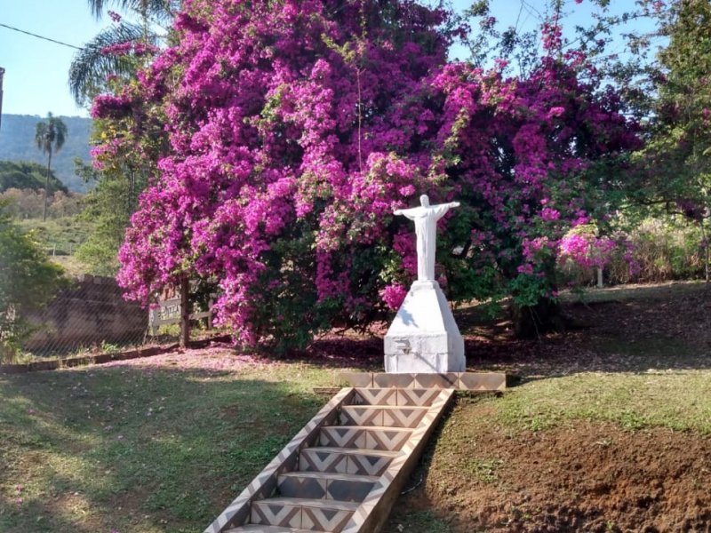 Chácara à venda salto do meio com 2200m² e 2 quartos por R$ 280.000 - 40081014-whatsapp-image-2020-11-11-at-7.jpeg