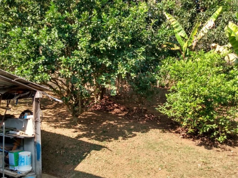 Chácara à venda salto do meio com 2200m² e 2 quartos por R$ 280.000 - 580948765-whatsapp-image-2020-11-11-at-7.jpeg