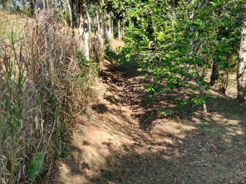 Chácara à venda salto do meio com 2200m² e 2 quartos por R$ 280.000 - 952077847-whatsapp-image-2020-11-11-at-7.jpeg