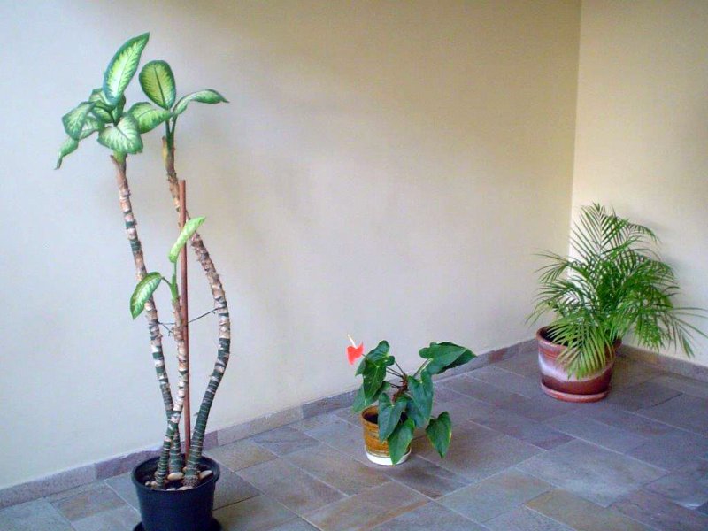 imóvel com 55m² - Chácara Seis de Outubro - São Paulo