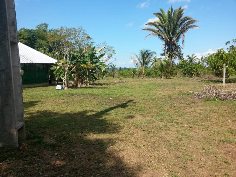 Sítio à venda rural com 280000m² e 4 quartos por R$ 1.000.000 - 1127725443-whatsapp-image-2020-10-05-at-12.jpeg