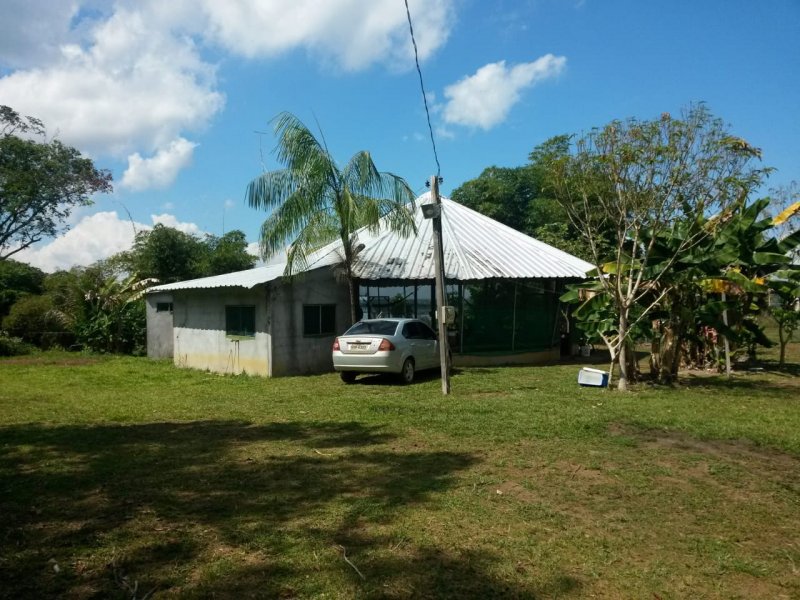 Sítio à venda rural com 280000m² e 4 quartos por R$ 1.000.000 - 248512631-whatsapp-image-2020-10-05-at-12.jpeg