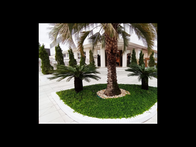 imóvel com 126m² - Centro - Palhoça