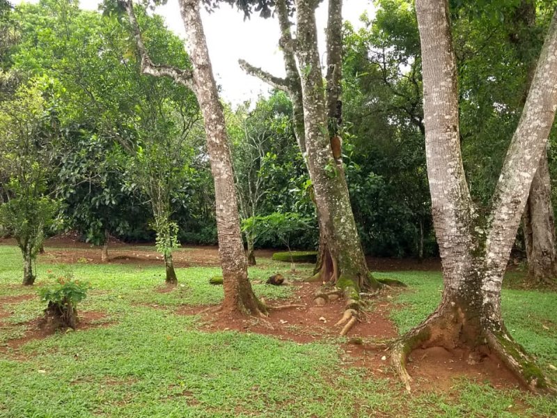 imóvel com 5000m² - Água Espraiada - Cotia