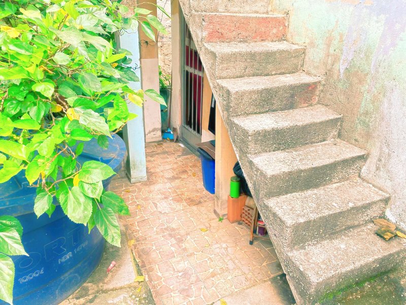 Casa à venda Venda  Velha com 12473m² e 3 quartos por R$ 100.000 - 1233199971-b74c2e4f-4f5b-4cd6-ae53-183ddb85ad1c.jpeg