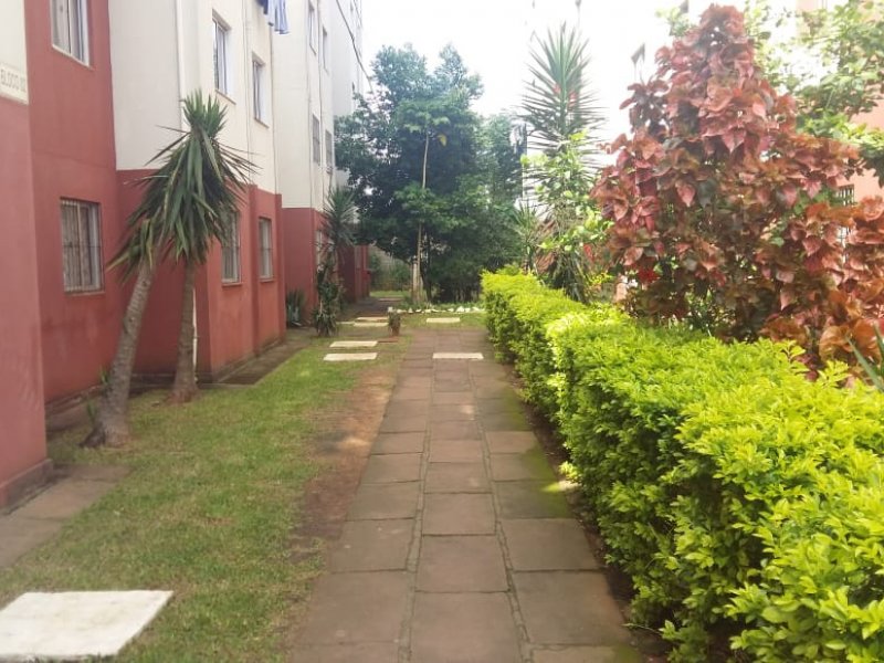 Apartamento à venda Estância Velha com 40m² e 2 quartos por R$ 82.000 - 833074605-whatsapp-image-2020-12-15-at-14.jpeg