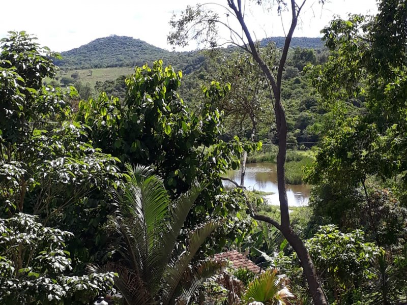 Chácara à venda Ribeiro Bonito com 90m² e 2 quartos por R$ 170.000 - 1741593702-whatsapp-image-2018-11-21-at-16.jpeg