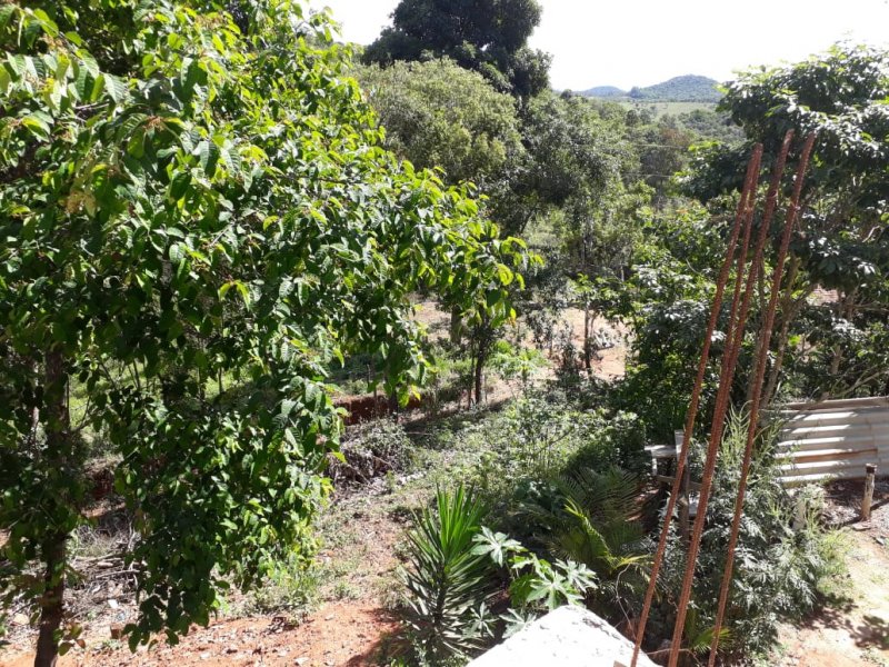 Chácara à venda Ribeiro Bonito com 90m² e 2 quartos por R$ 170.000 - 179034632-whatsapp-image-2018-11-21-at-16.jpeg