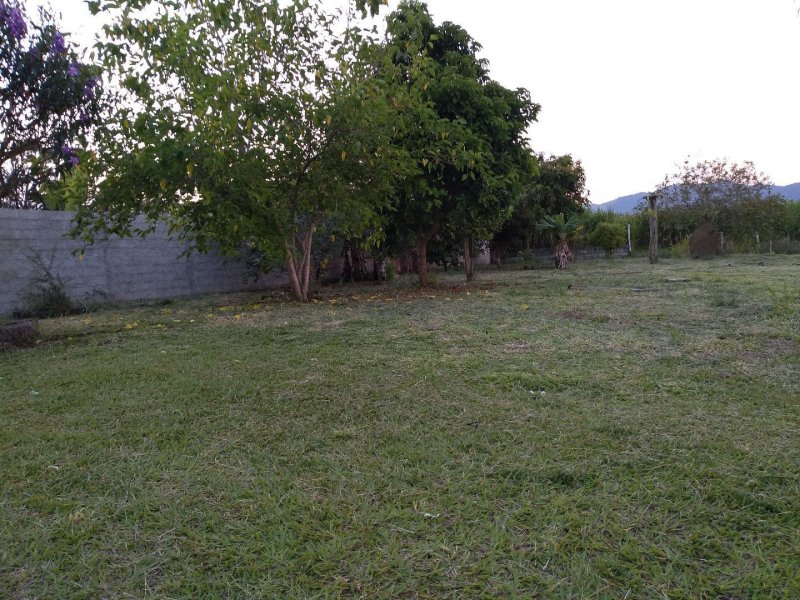 Chácara à venda Vila Caetano com 2m² e 3 quartos por R$ 450.000 - 1762788221-f668888b-ac59-43d8-9351-8d86ff2fd027.jpg