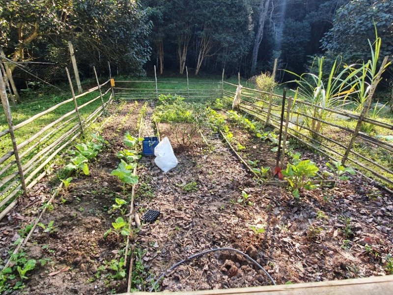 Sítio à venda Centro com 600m² e 5 quartos por R$ 435.000 - 1129164936-inbound3953959545796050766.jpg