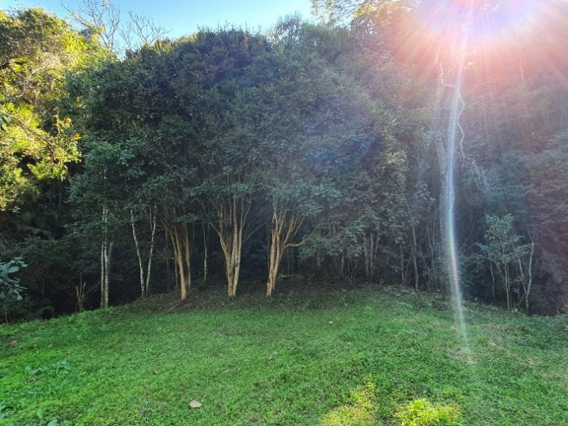 Sítio à venda Centro com 600m² e 5 quartos por R$ 435.000 - 917369755-inbound5209185306415775824.jpg