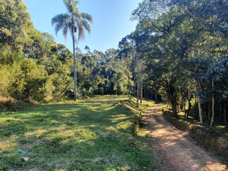 Sítio à venda Centro com 600m² e 5 quartos por R$ 435.000 - 960617564-inbound3290884831945230643.jpg