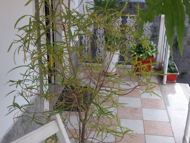 Casa de condomínio para alugar Vila Valqueire com 220m² e 4 quartos por R$ 600.000 - 621312112-20160305-092125.jpg