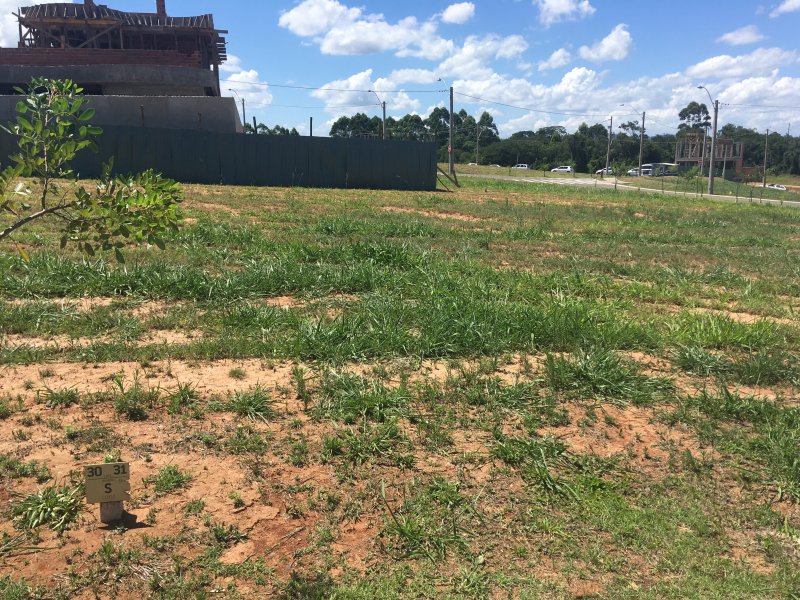 Terreno à venda centro com 266m² e  quartos por R$ 250.000 - 1095271688-43b84c25-2dd8-47f7-86d6-d2acc73b5e94.jpeg