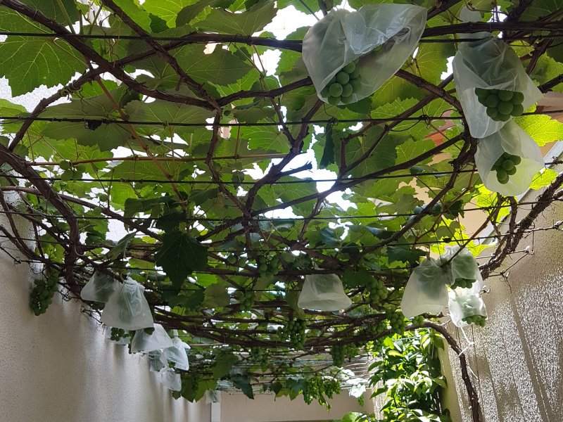 Casa à venda Jardim Alvorada com 154m² e 3 quartos por R$ 515.000 - 255077897-20191217-125428.jpg